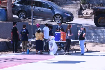 DSC_2017 (Large).JPG